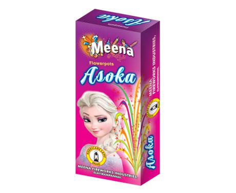 016 MEENA FLOWERPOTS ASOKA 10PCS