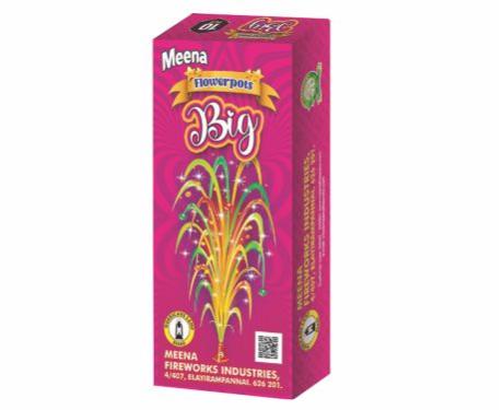 011 MEENA FLOWERPOTS BIG 10PCS