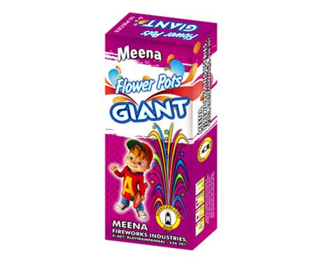 013 MEENA FLOWERPOTS GIANT 10PCS